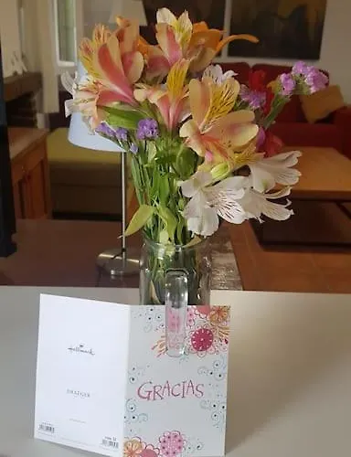 Balcones * 托雷维耶哈